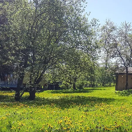Planwagen Camp Ferienhaus Passee